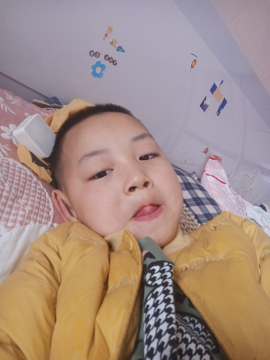 动态图片 1