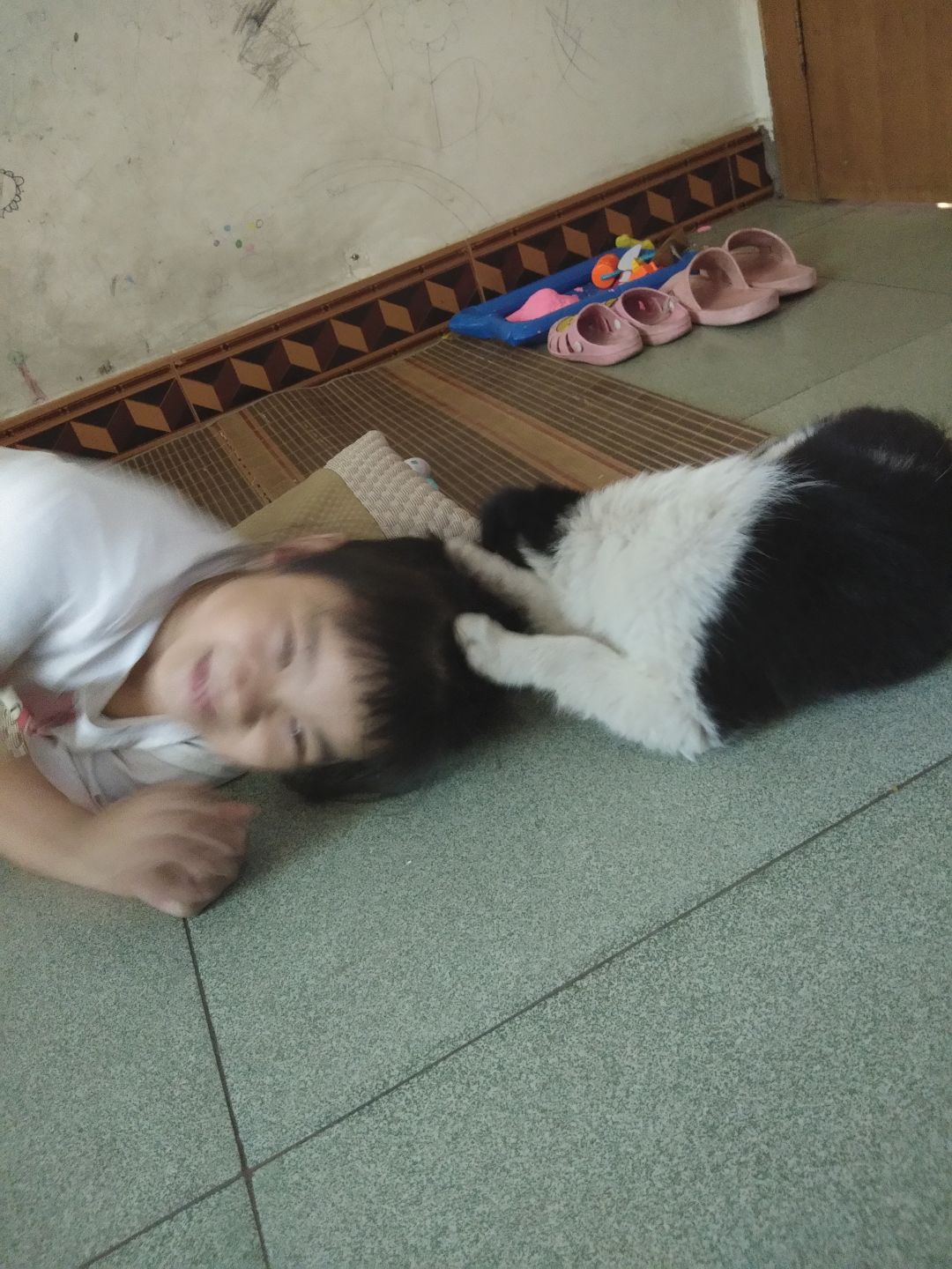 动态图片 1