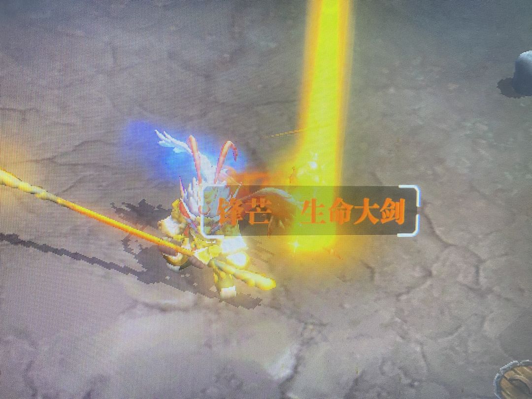 刚爆出一把锋芒生命大剑高兴的晕过去了 1