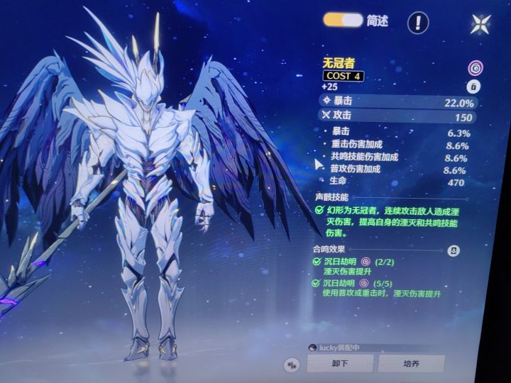 暗主要什么词条?能用吗?截图