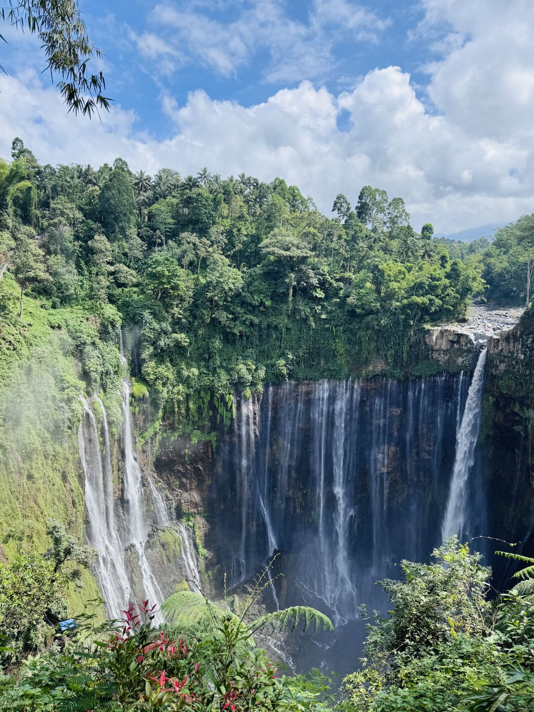 印尼旅游一大早蹲坑出红龙 2