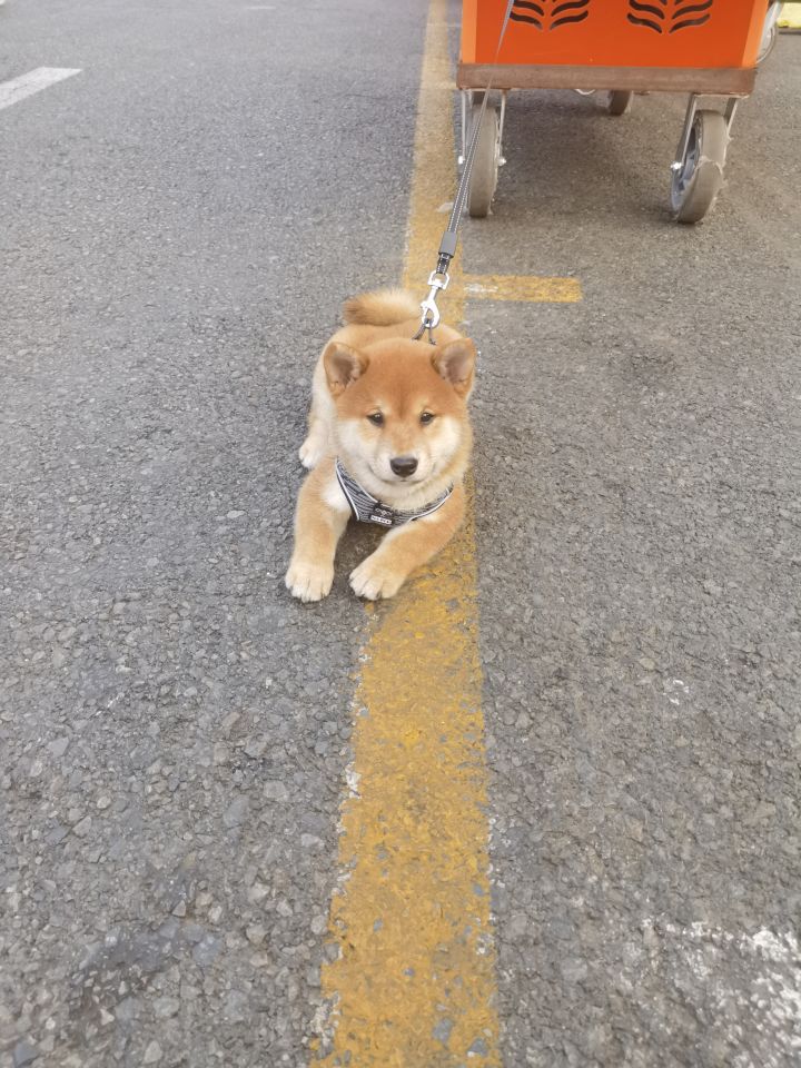 悄悄问一下截图