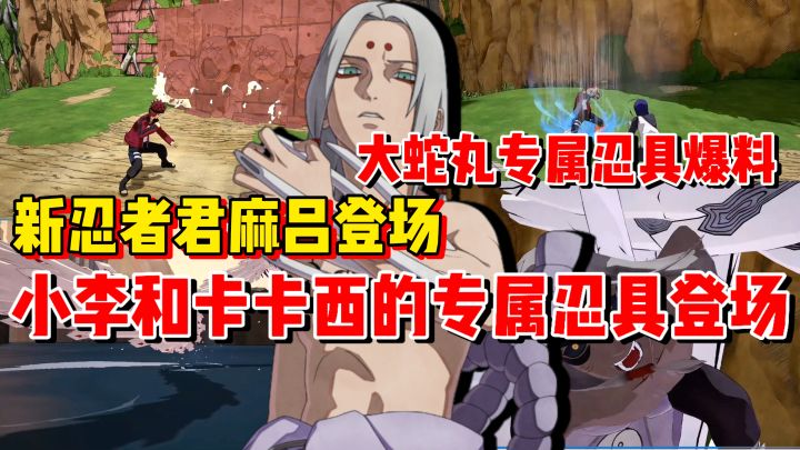 爆料来了!全新忍者君麻吕上线!卡卡西小李也有专属忍具了!截图