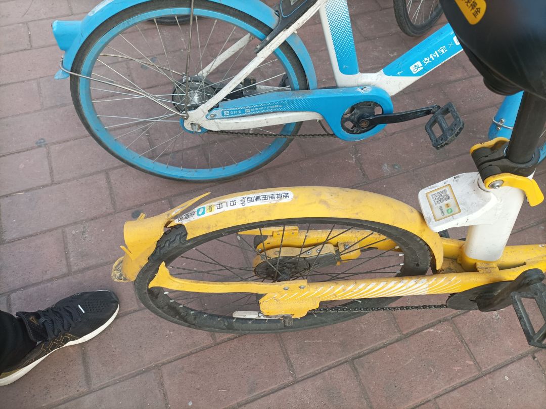 路边看到的 3