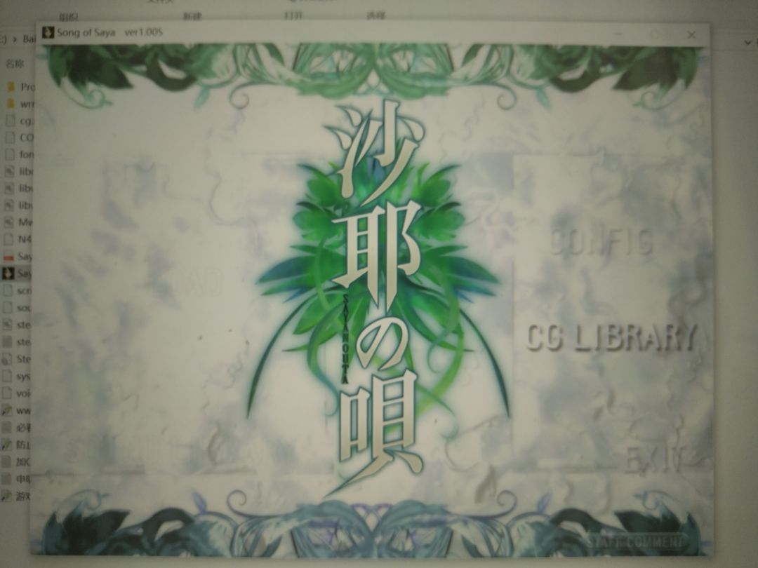 虚渊玄笔下的猎奇世界——沙耶之歌 1