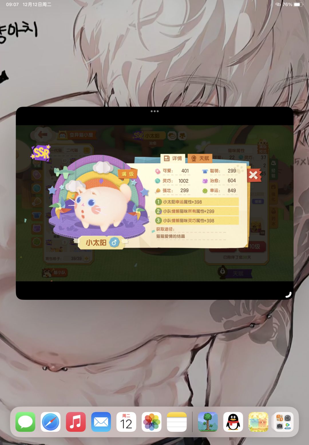 求问这些猫是战吗? 2