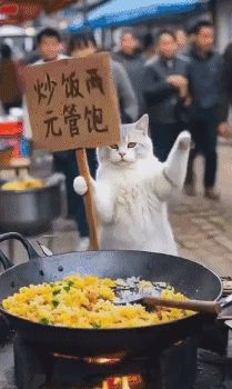 今天池子爆率这么高截图