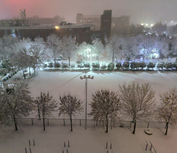 终于等到了这场久违的雪截图