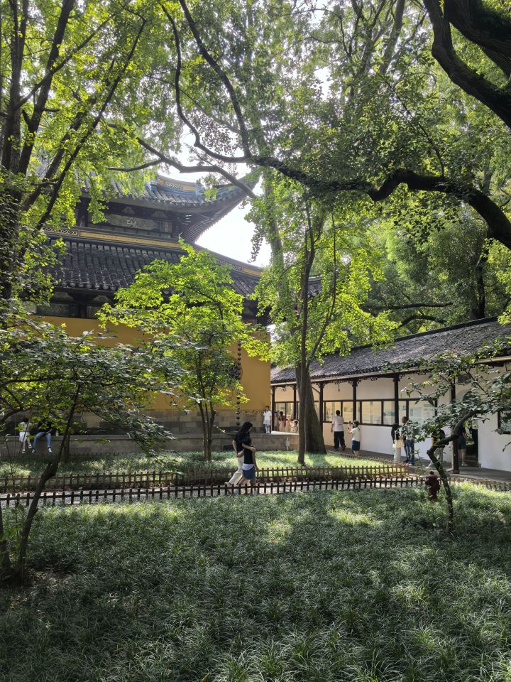 我解锁了新角色-妮可拉截图
