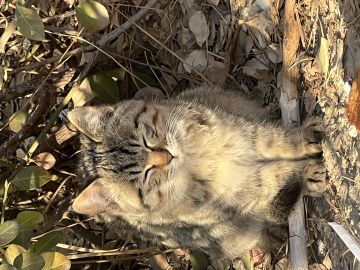 重生之我在异界抵抗魔王当镇长