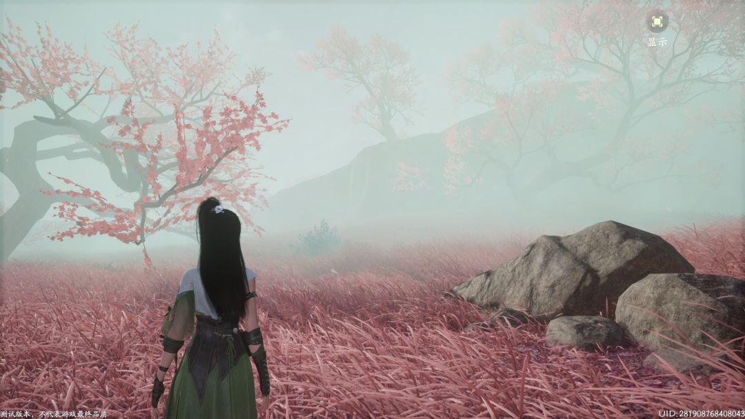 桃花坞里桃花庵 8