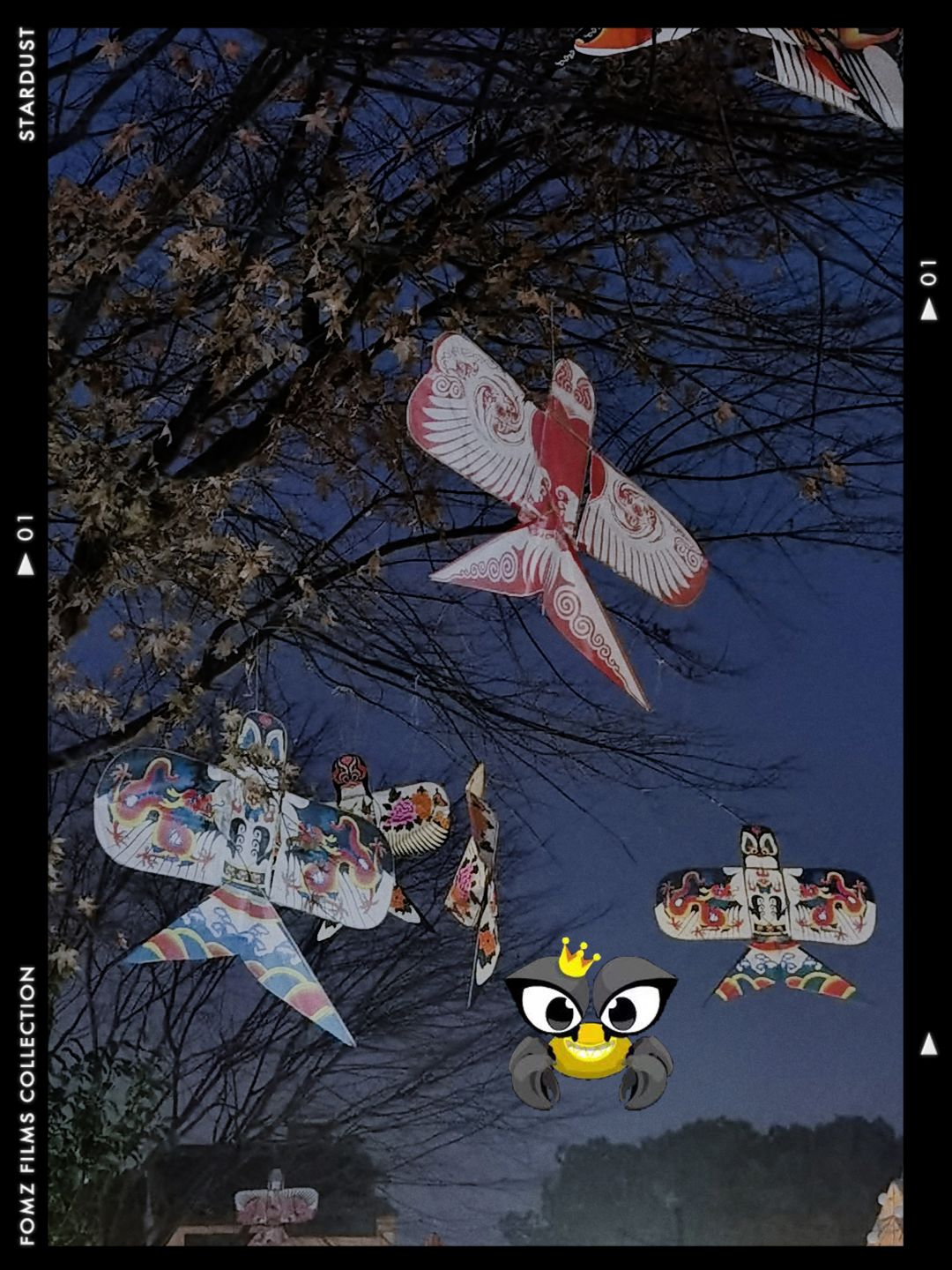 阿螂仔占领动物园啦~🦀 1