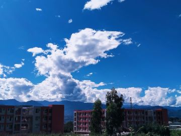 ⚠昆虫警告&校园寻虫记