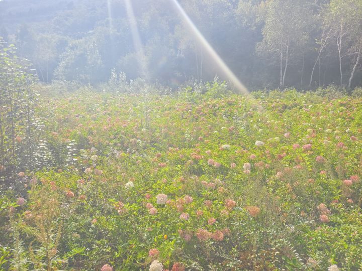 请问这游戏适合萌新入坑吗?截图