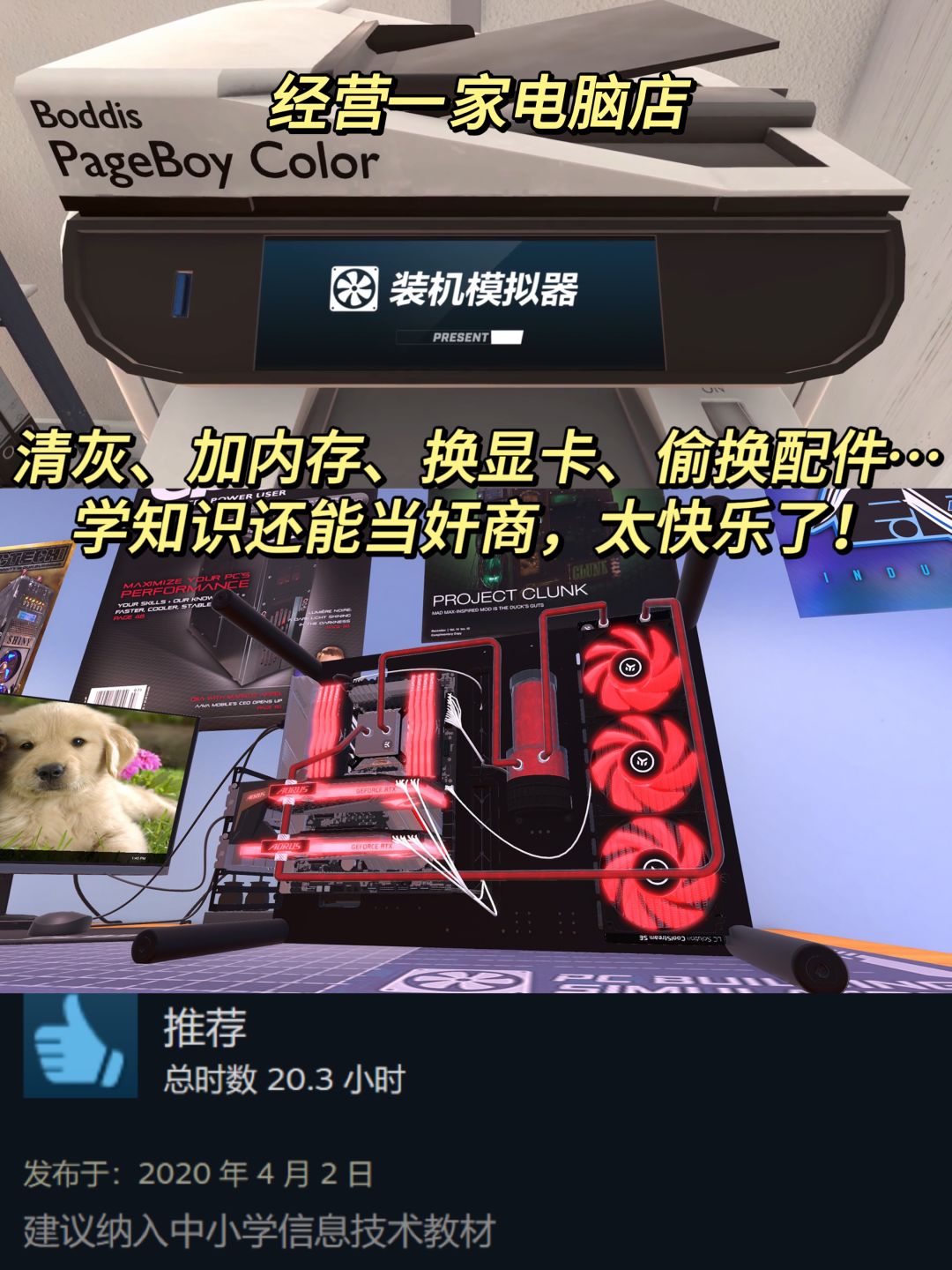 学完高低也是个全能型人才❗我在Steam疯狂学习 2