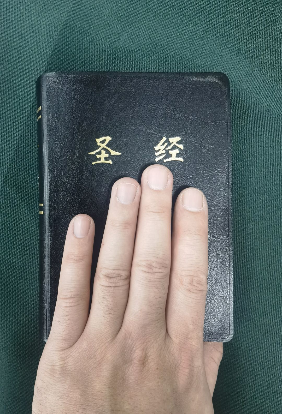 入坑截图