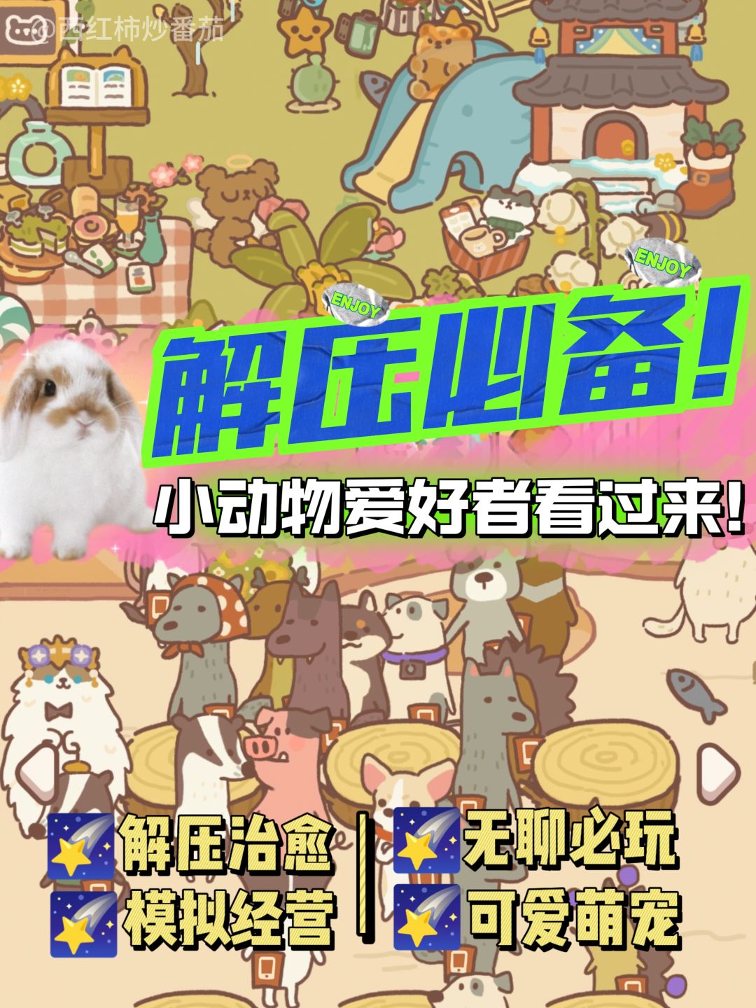 🐱小动物爱好者必玩的一款游戏❗解压天花板❓ 1