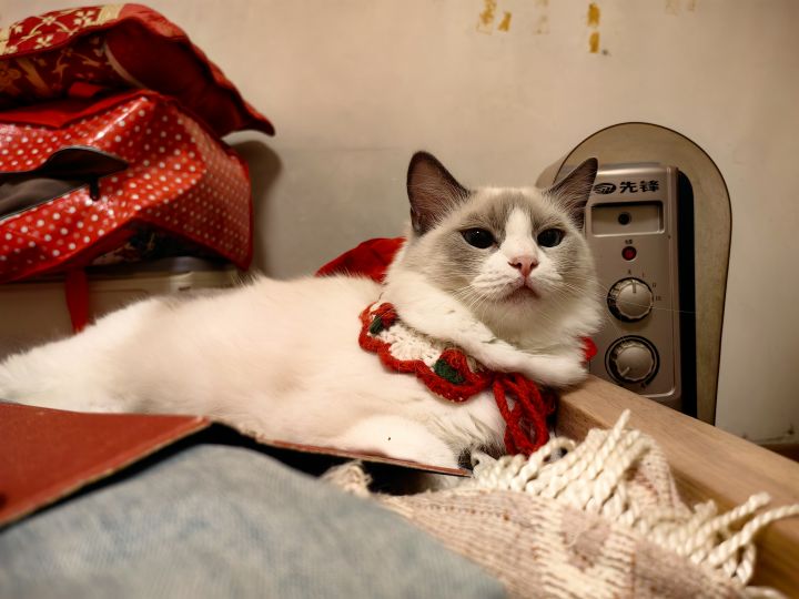 又到了无责任猜想的时候截图
