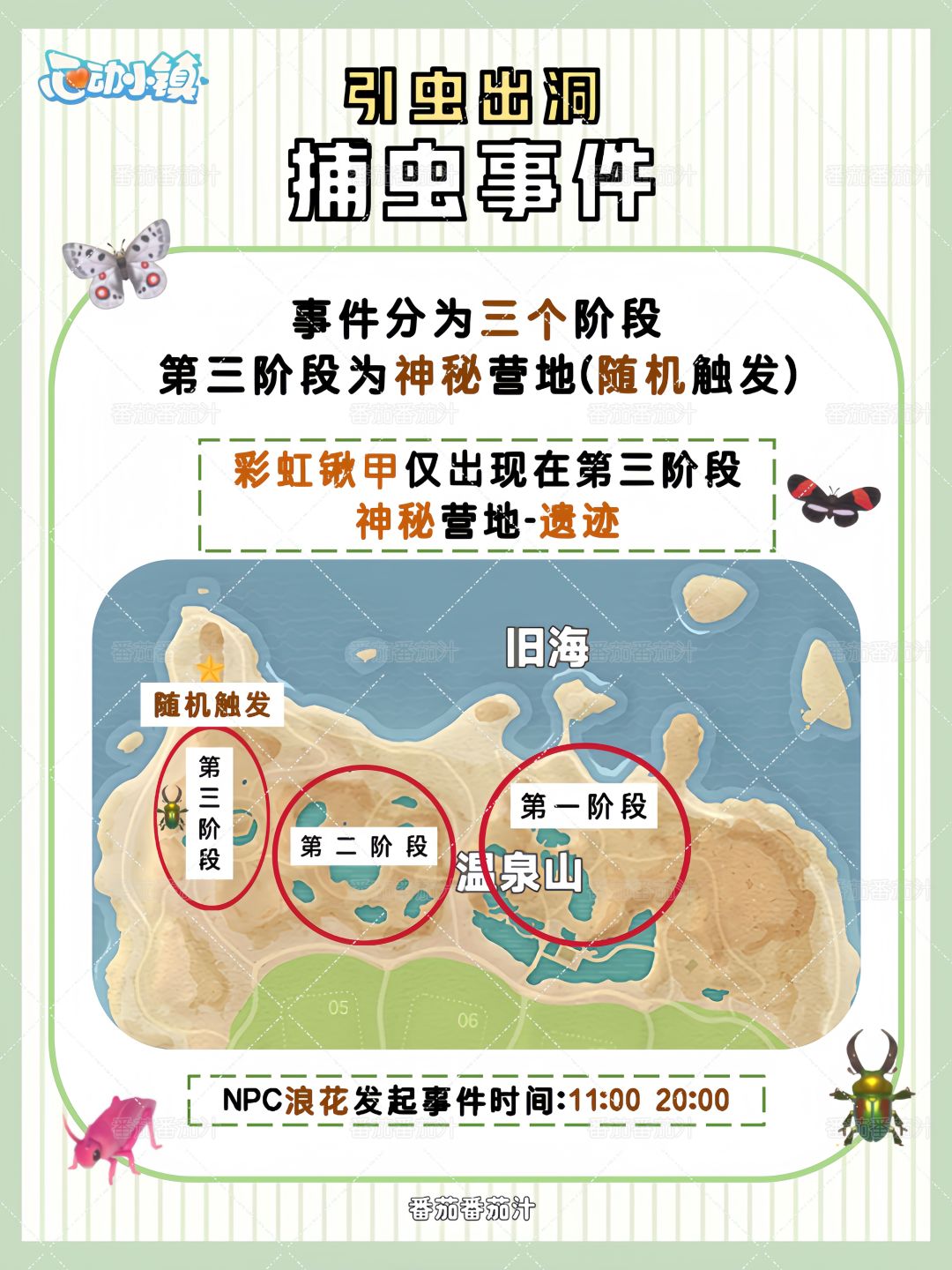 心动小镇 引虫出洞 捕虫事件详细攻略 2