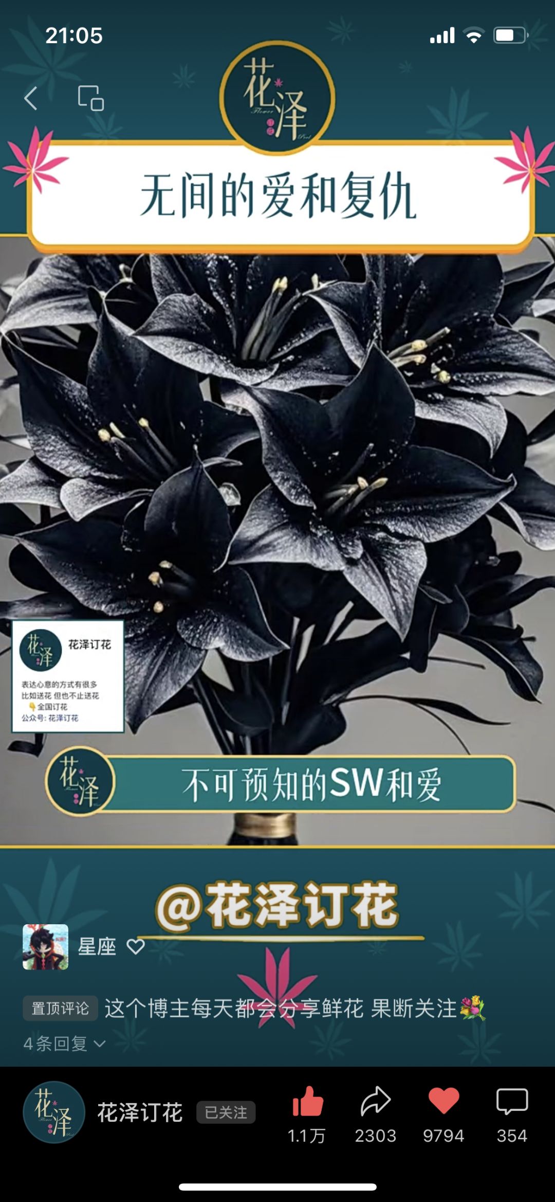 感觉M莫很适合互相送这三种花哈 1