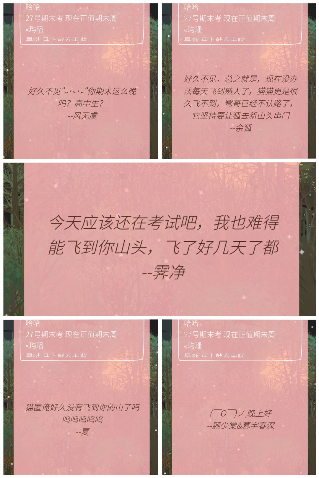 猫匿1月29日记 2
