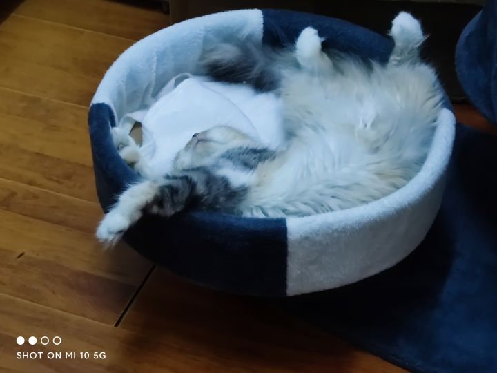 差评。截图