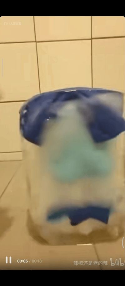 也是回坑了截图