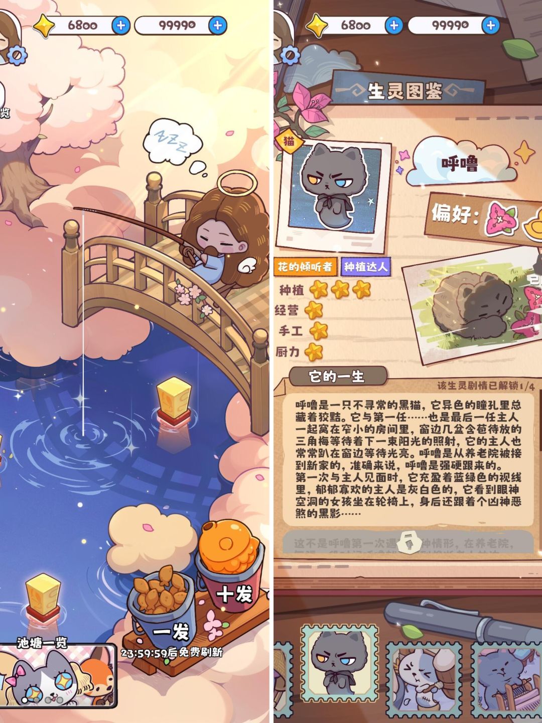 照顾来到喵星和汪星的宝贝🐶🐱 2