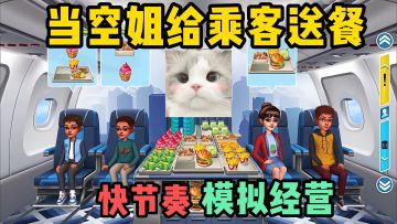 体验空姐送餐日常，考验你的手速与时间管理能力！！