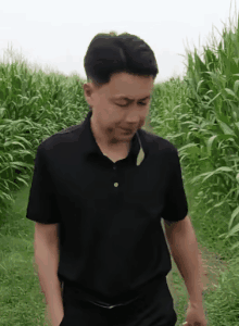 ?0氪玩家表示很赞 2