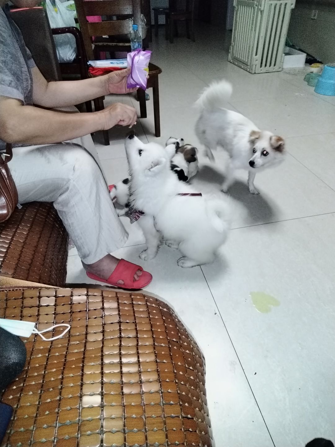 动态图片 9