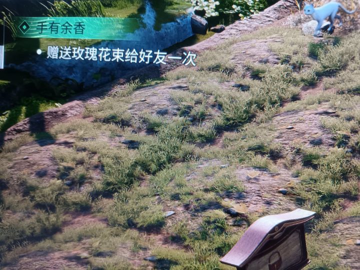 家园任务怎么赠送玫瑰花束呀？截图