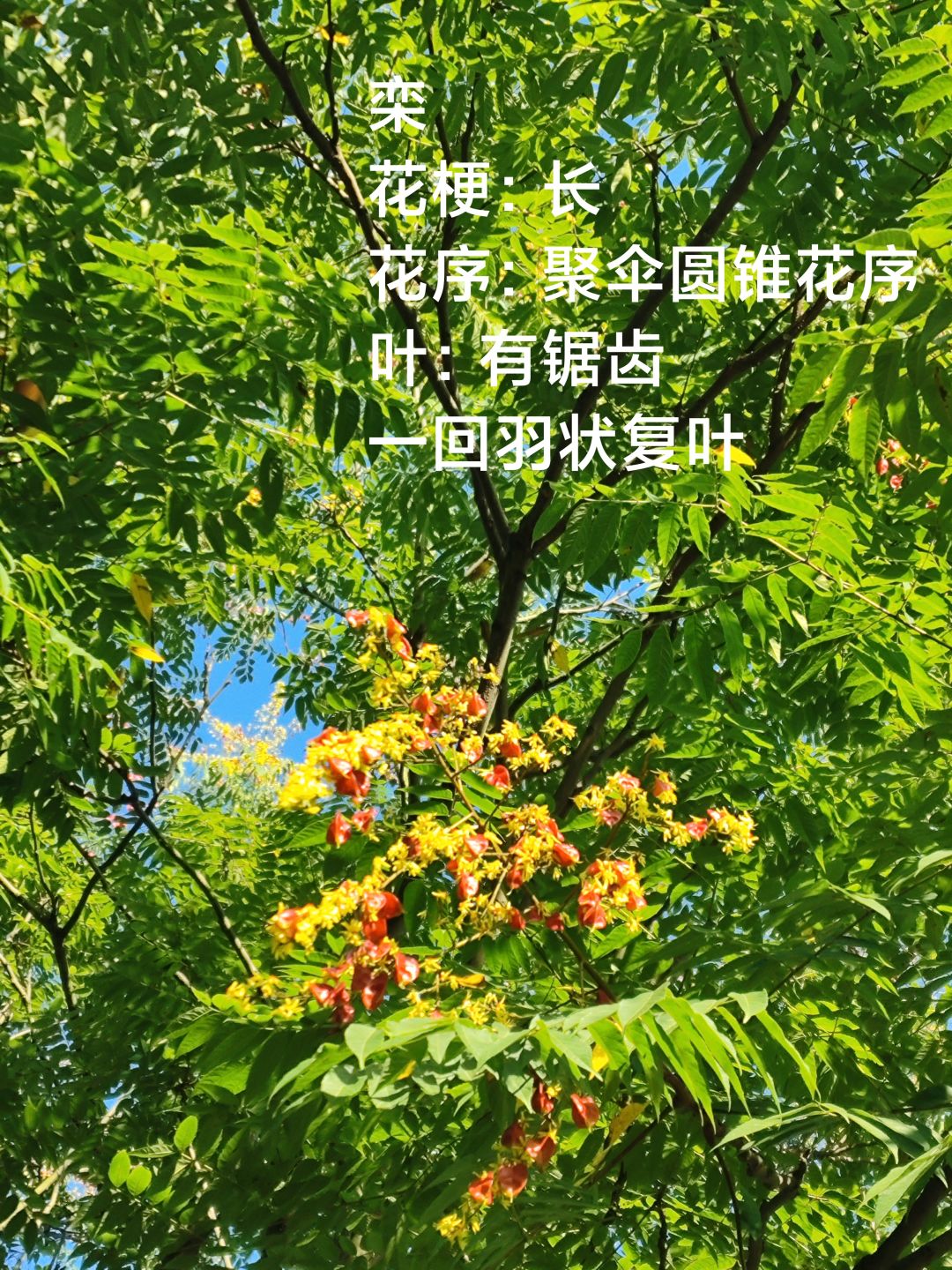 拍照活动 2
