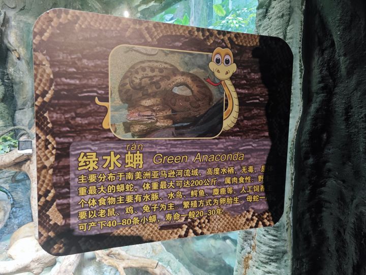 森rua无衣高清截图