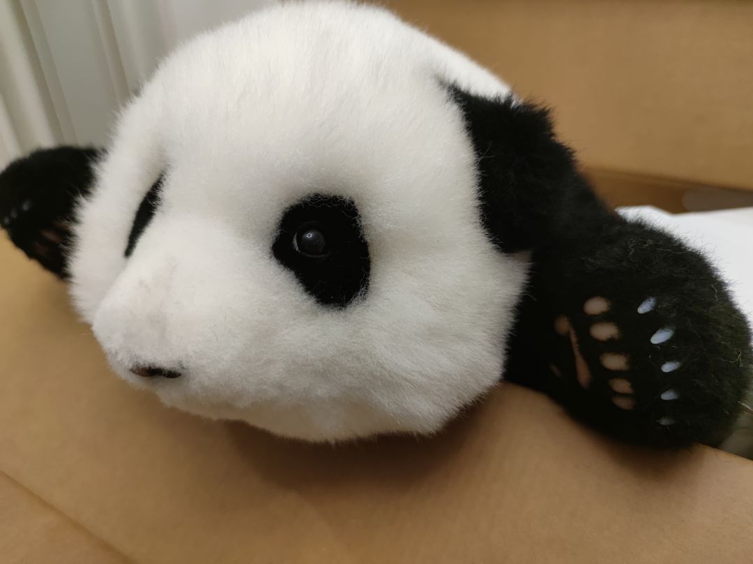 终于欧一回了 3
