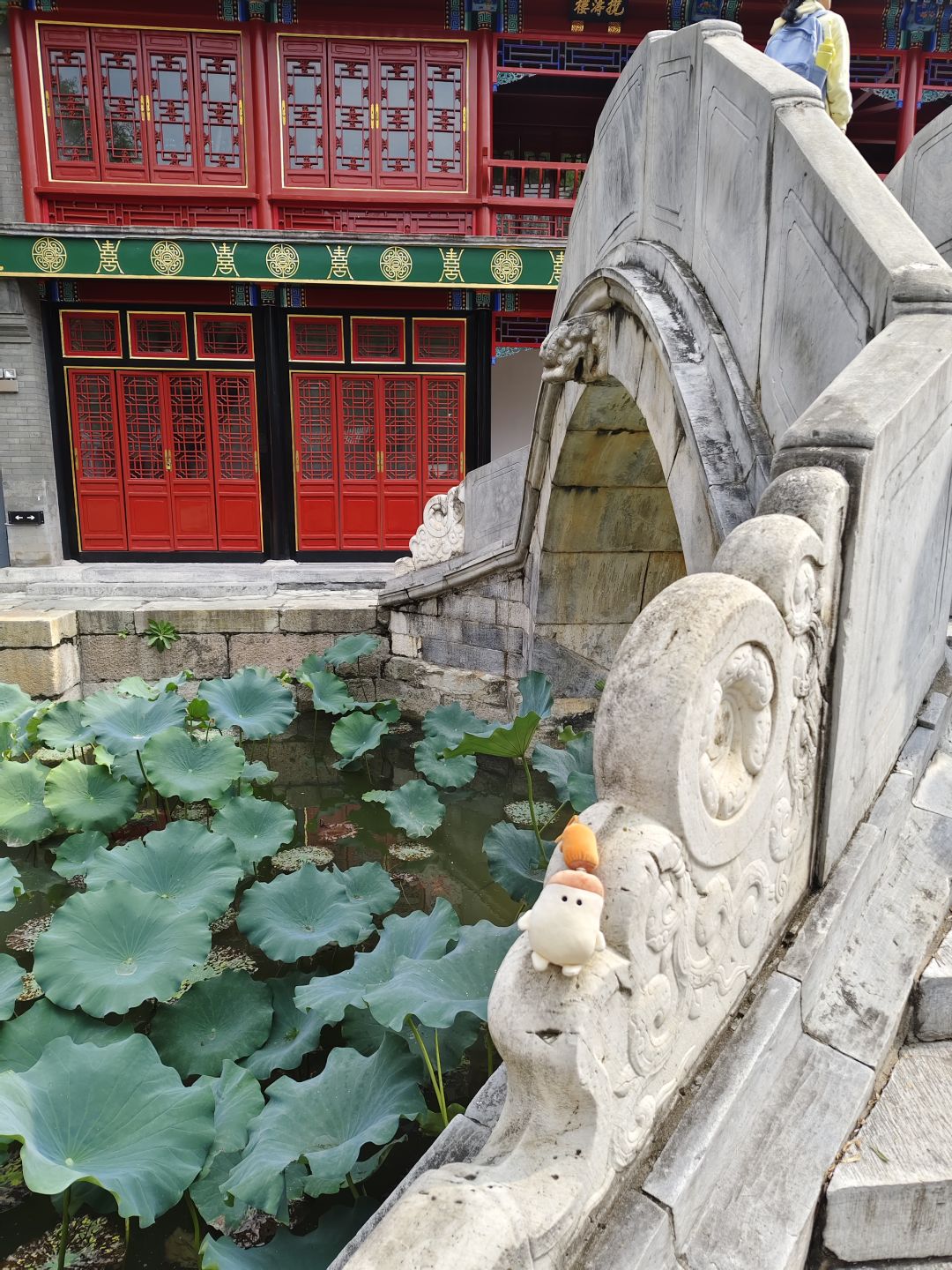小转陪我逛颐和园,小转好 1