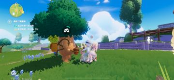 4月25日萤石橡木位置