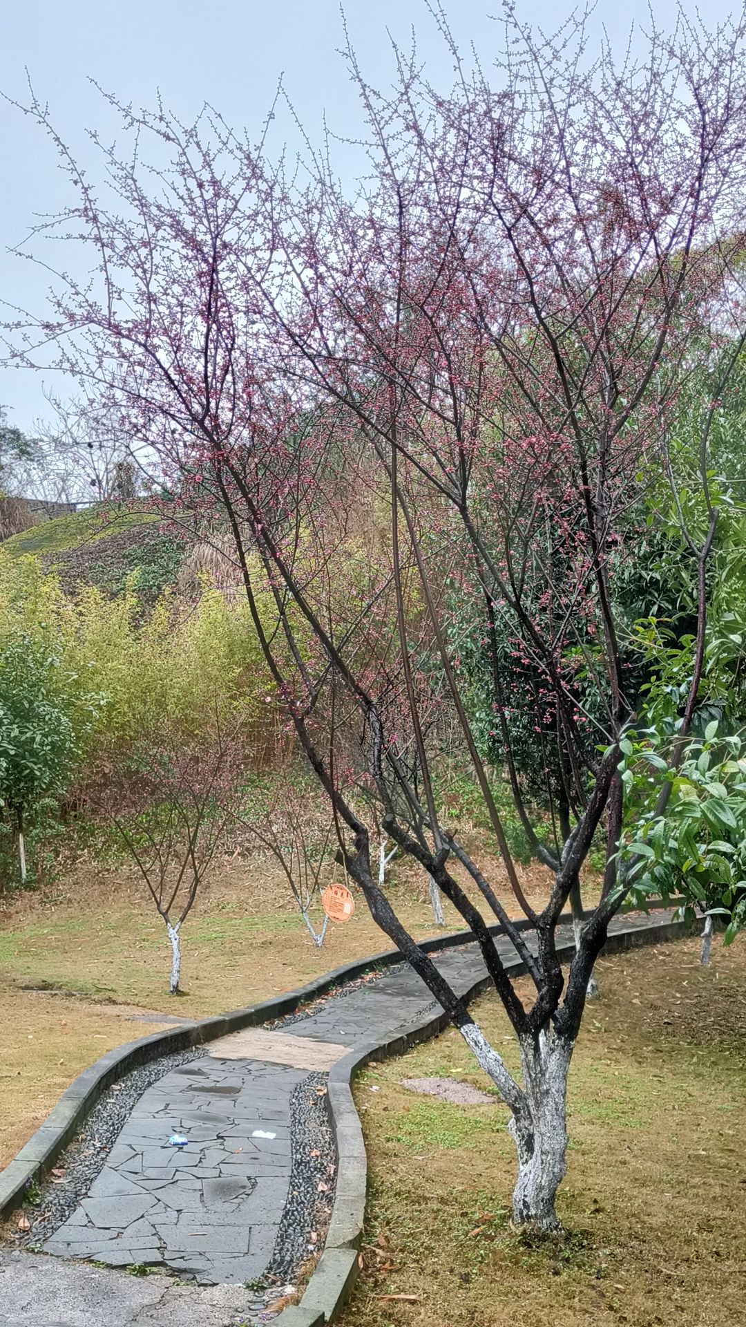 生活感慨 1