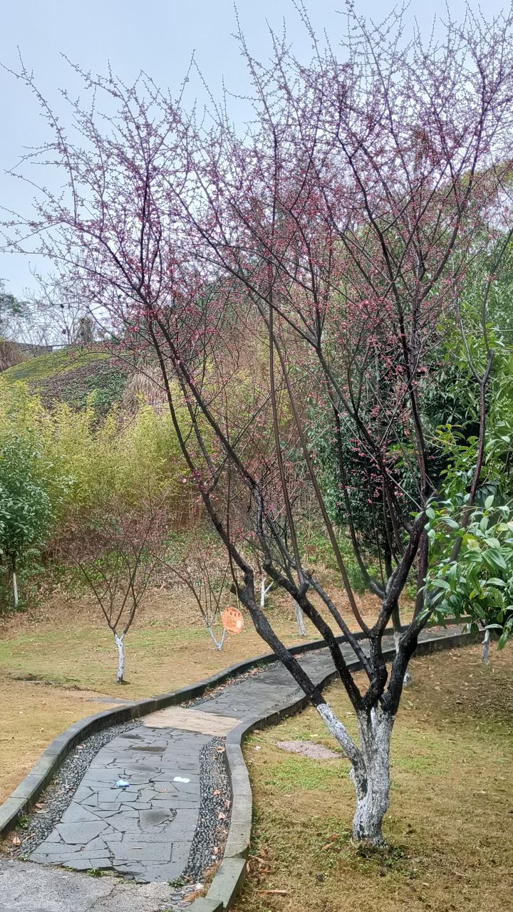 生活感慨截图