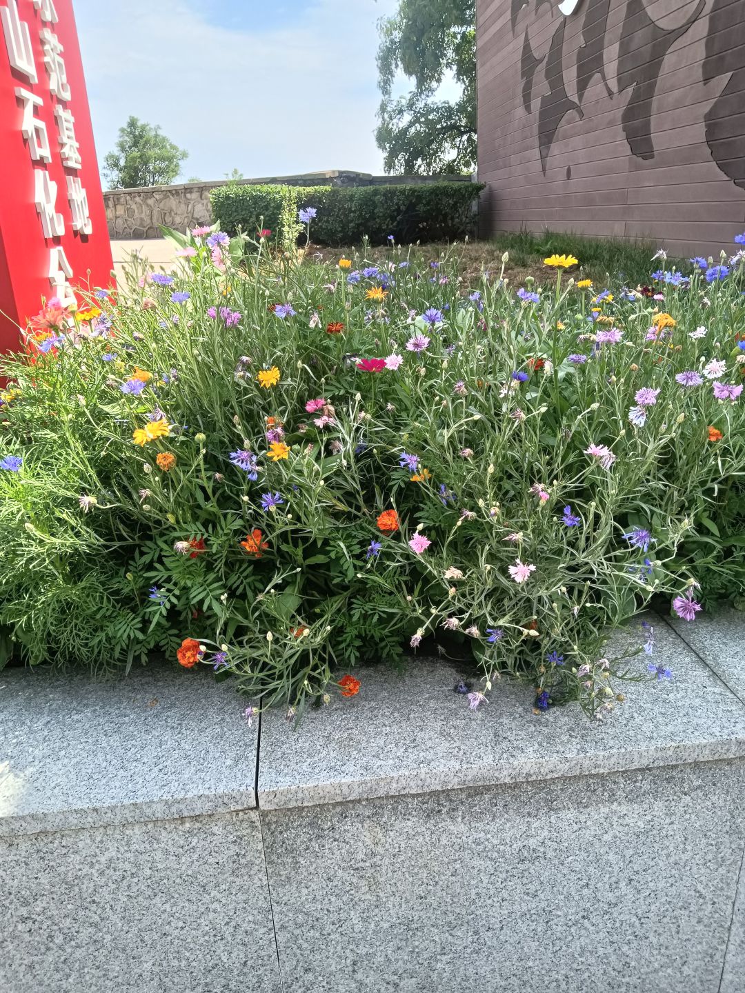 我们在北京上班 5