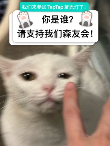 日志1｜为了参加聚光灯，我们做了个游戏！