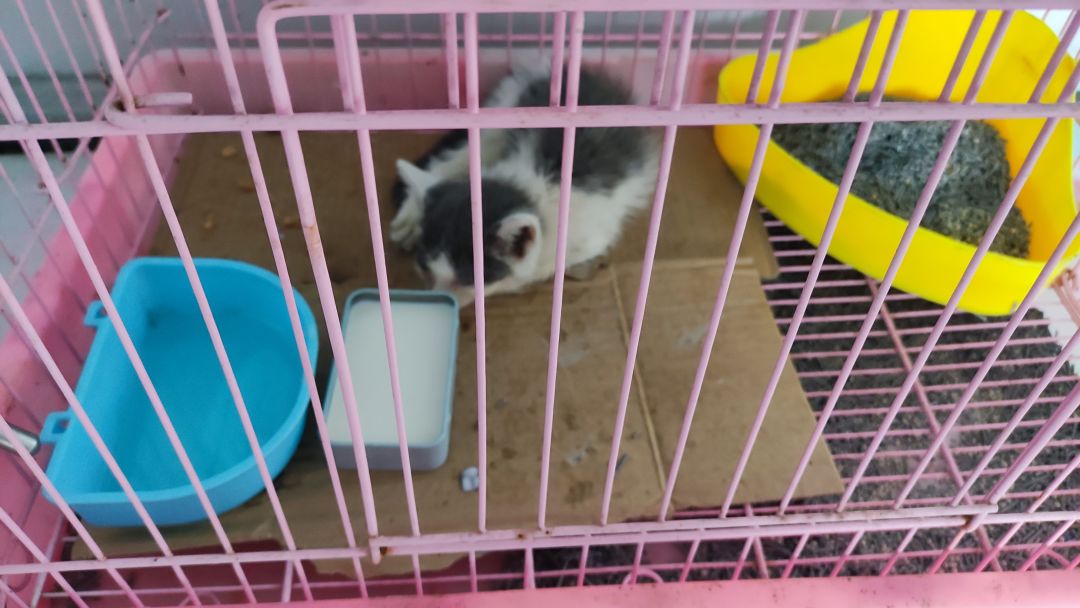 今天升24级了 1