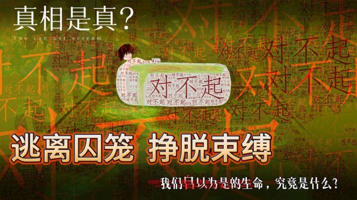 《青箱》破茧而出，自由之旅启航！截图