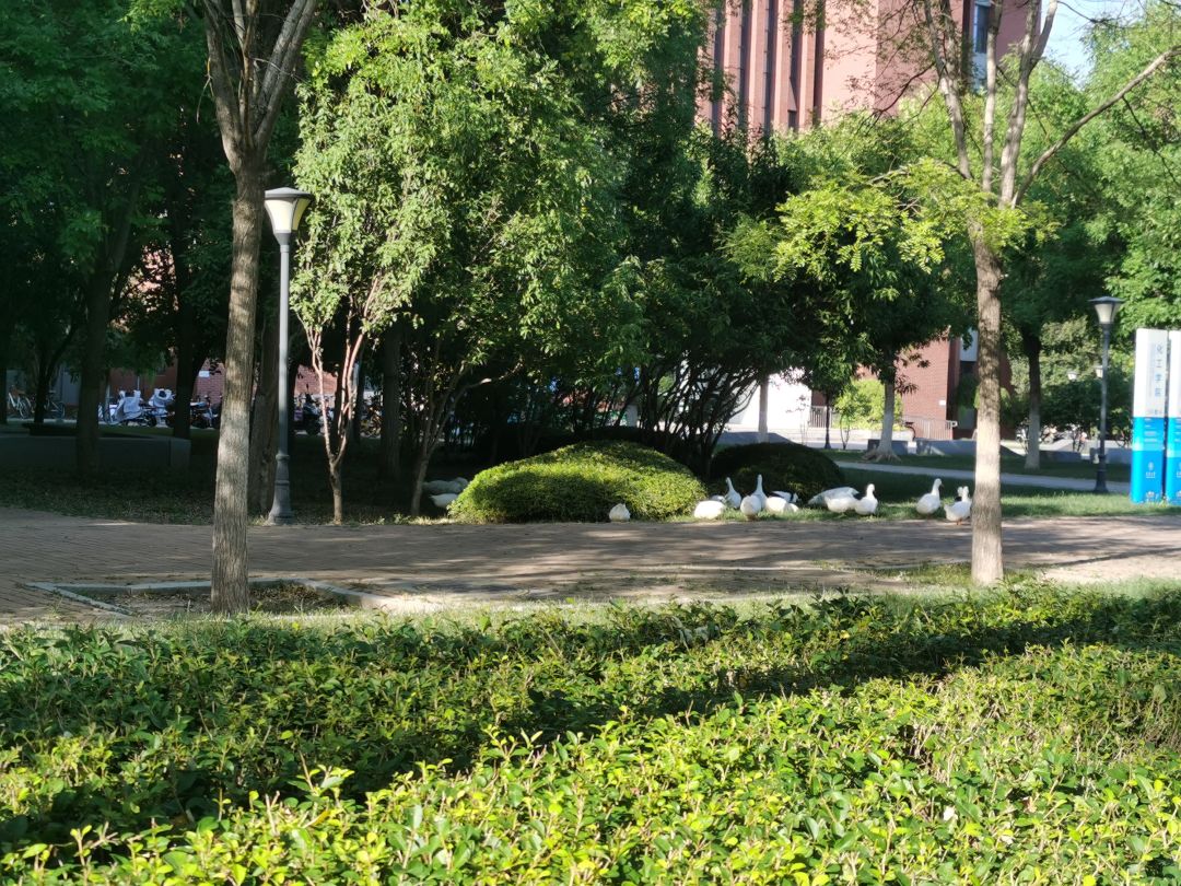 冲鸭 2