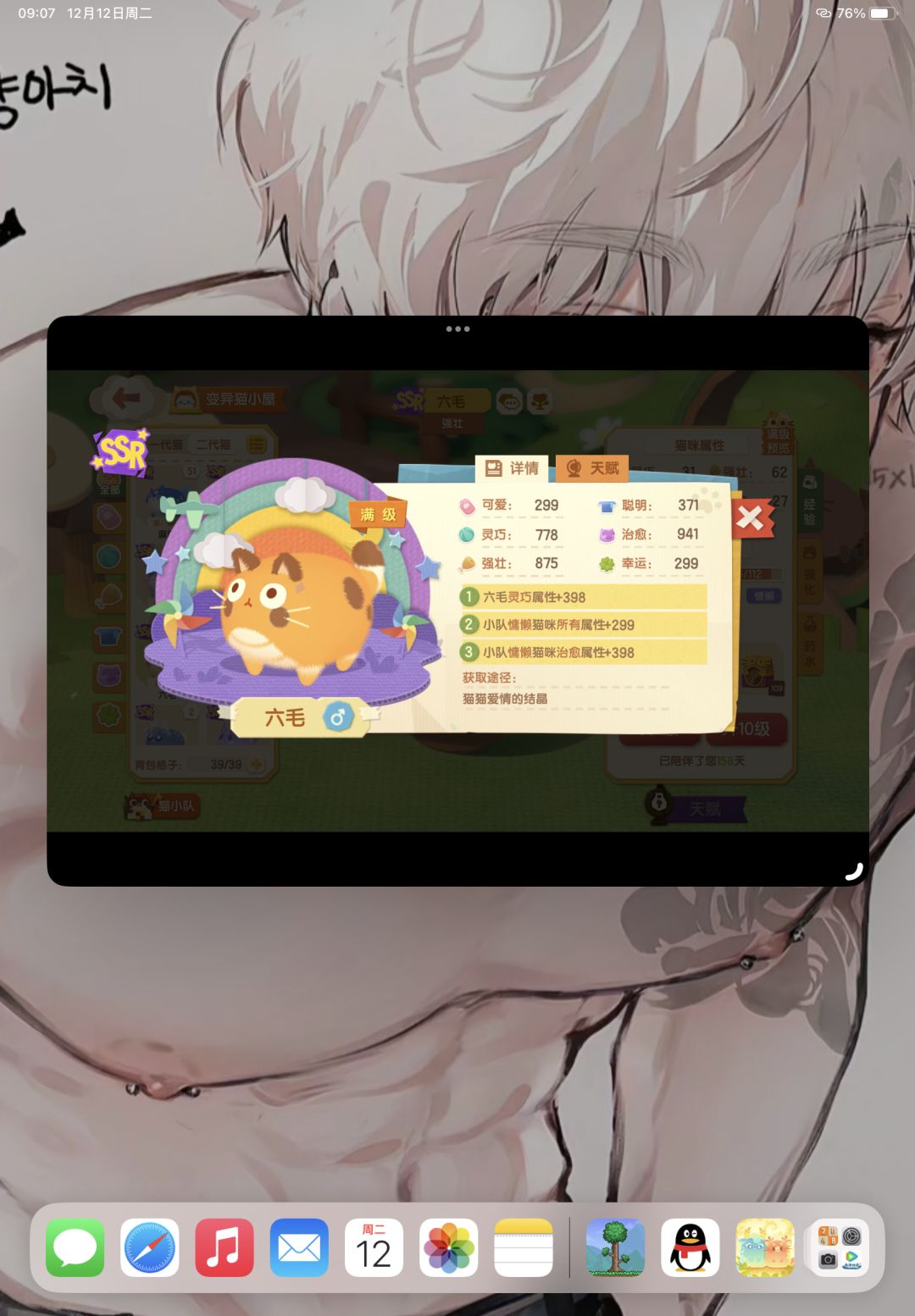 求问这些猫是战吗? 3
