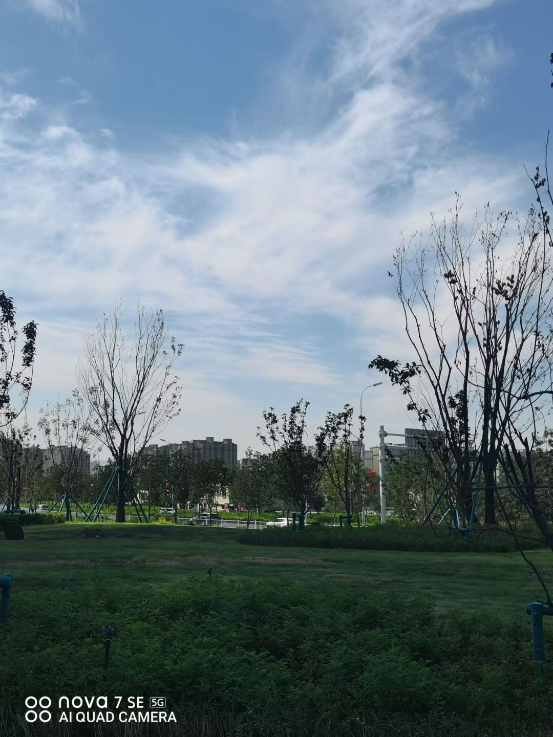随手拍 2