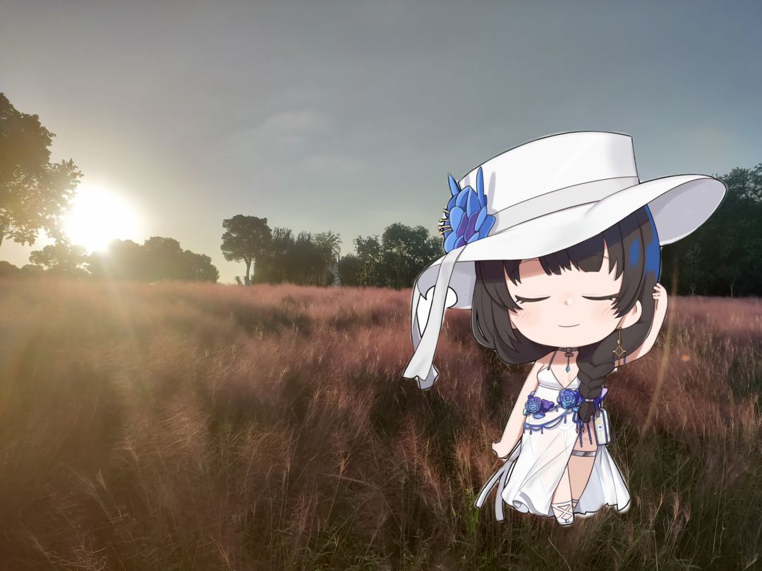 夏日活动打卡 1