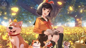 喵星手册 | 开服限定活动日程表（第二周）