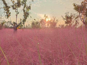 有人认识符漓吗