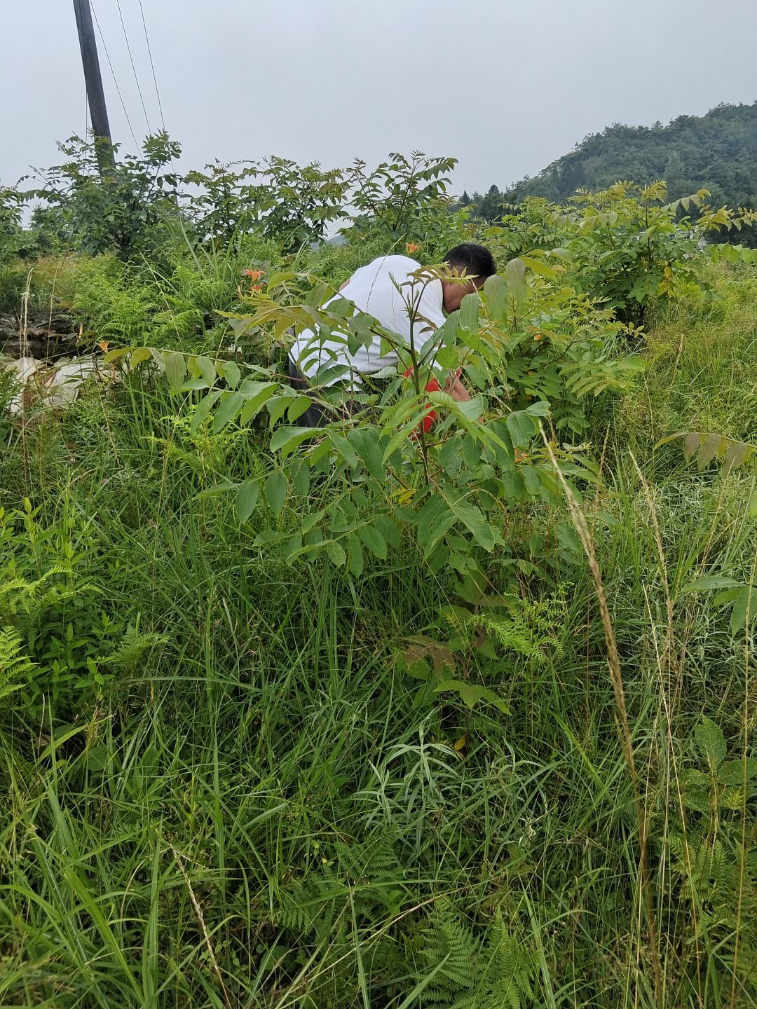 动态图片 12